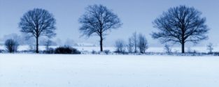 vinter träd snö (liten puff)
